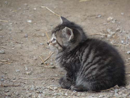 02-Ultner-Hoefeweg-Seeweg-005
