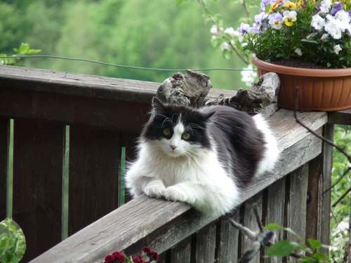 02-Ultner-Hoefeweg-Seeweg-017