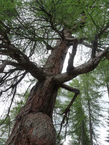 02-Ultner-Hoefeweg-Seeweg-019