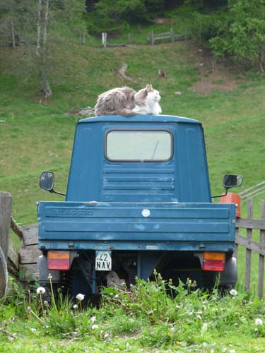 130607_Ultental_Hoefeweg_009
