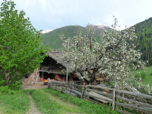 130607_Ultental_Hoefeweg_014