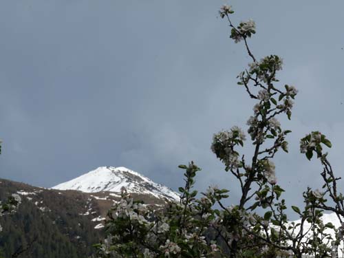 130607_Ultental_Hoefeweg_015