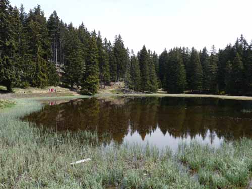 0569-Vigiljoch-NaturnserAlm