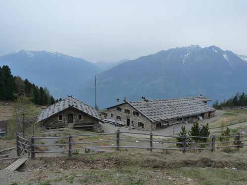 0577-Vigiljoch-NaturnserAlm