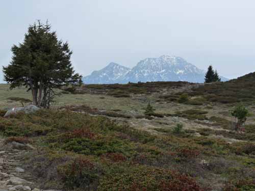 0581-Vigiljoch-NaturnserAlm