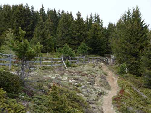 0584-Vigiljoch-NaturnserAlm