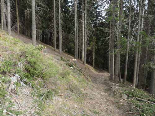 0601-Vigiljoch-NaturnserAlm