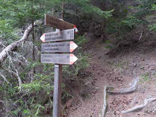 0602-Vigiljoch-NaturnserAlm