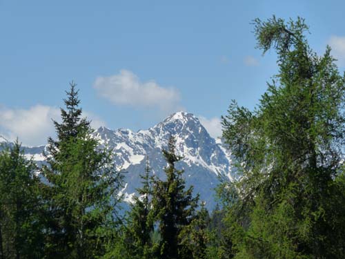 05-Vigiljoch-Mariolberger-Alm-010
