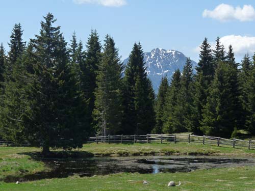 05-Vigiljoch-Mariolberger-Alm-019