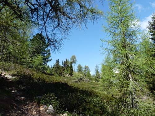 05-Vigiljoch-Mariolberger-Alm-025