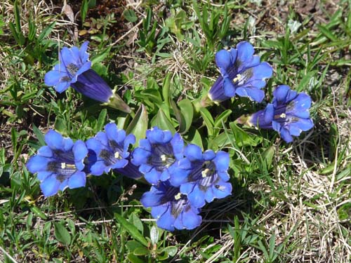 05-Vigiljoch-Mariolberger-Alm-028