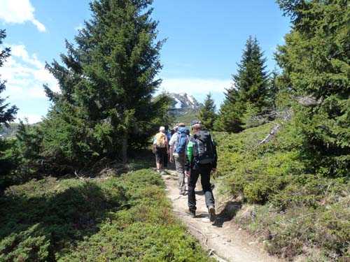 05-Vigiljoch-Mariolberger-Alm-031