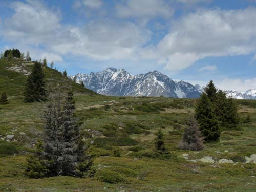 05-Vigiljoch-Mariolberger-Alm-039