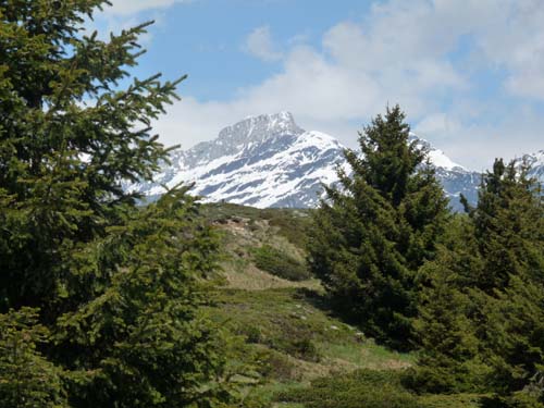05-Vigiljoch-Mariolberger-Alm-040