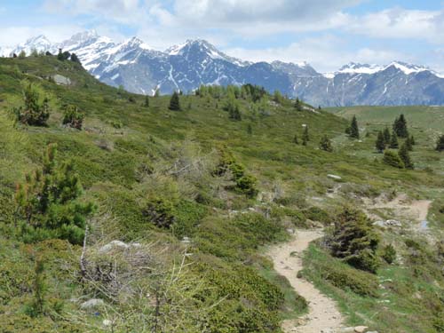05-Vigiljoch-Mariolberger-Alm-045