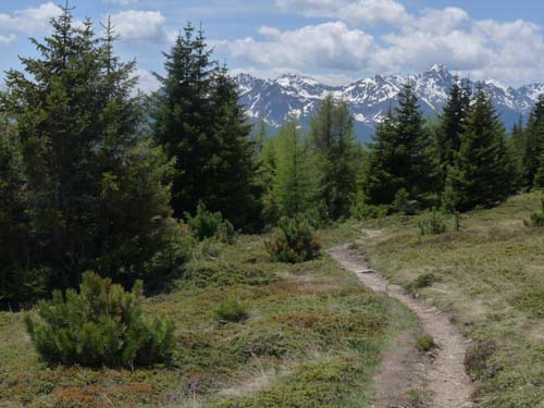 05-Vigiljoch-Mariolberger-Alm-058