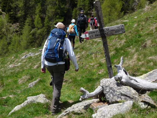 05-Vigiljoch-Mariolberger-Alm-062