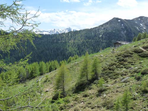 05-Vigiljoch-Mariolberger-Alm-076