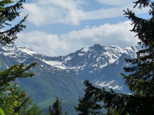 05-Vigiljoch-Mariolberger-Alm-079