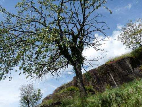 130604_Voellaner-Badl_Meran_005