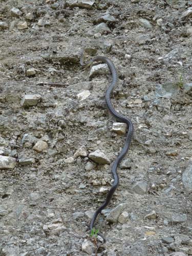 130604_Voellaner-Badl_Meran_033