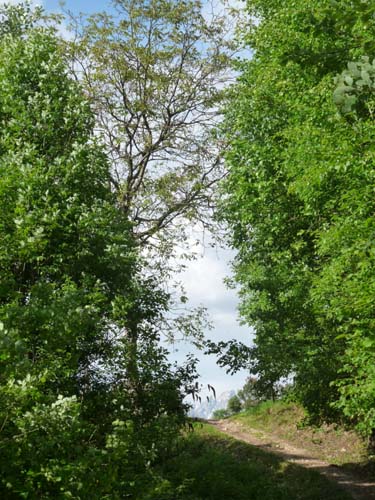 130604_Voellaner-Badl_Meran_039