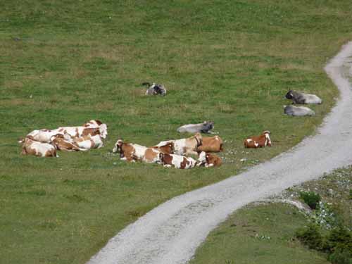 Lechtaler-Dremelspitz-806