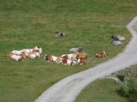 Lechtaler-Dremelspitz-806