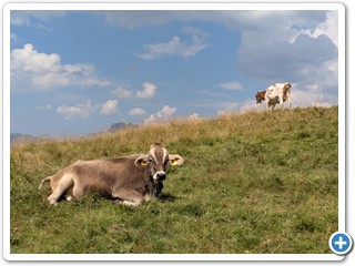 Montafon_26-08-03_14.56.36