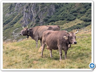 Montafon_26-08-07_13.33.49