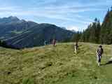 160907_04_Zillertal_Gerlostal_003