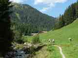 160907_08_Zillertal_Gerlostal_022