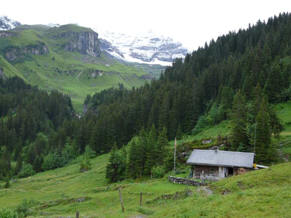 Baerentrek619Griesalp_Kandersteg