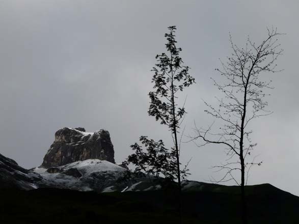Baerentrek620Griesalp_Kandersteg