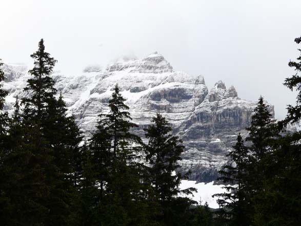 Baerentrek622Griesalp_Kandersteg