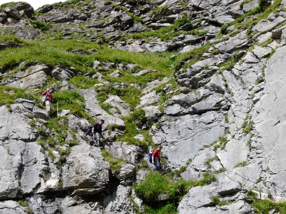 Baerentrek778Griesalp_Kandersteg