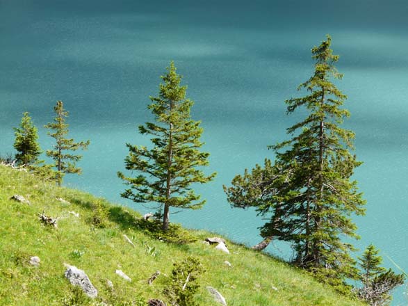 Baerentrek784Griesalp_Kandersteg