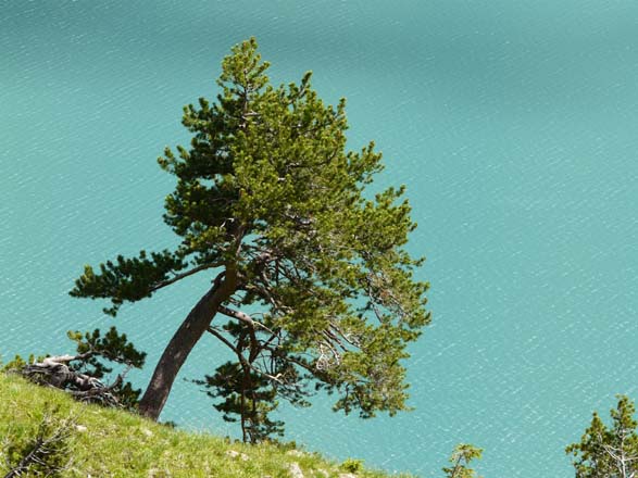 Baerentrek788Griesalp_Kandersteg