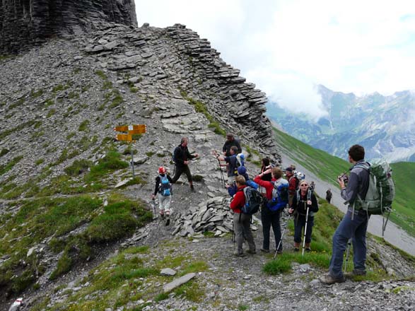 Baerentrek856Kandersteg_Adelboden