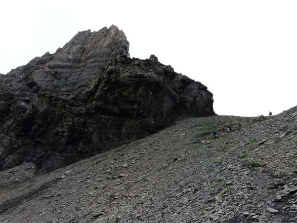 Baerentrek859Kandersteg_Adelboden