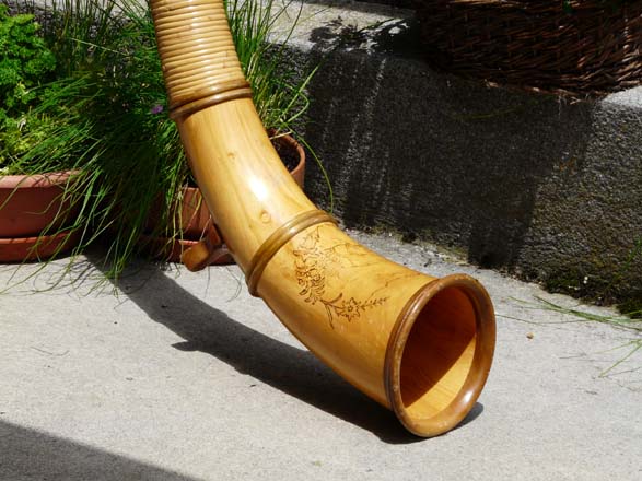 Baerentrek868Kandersteg_Adelboden