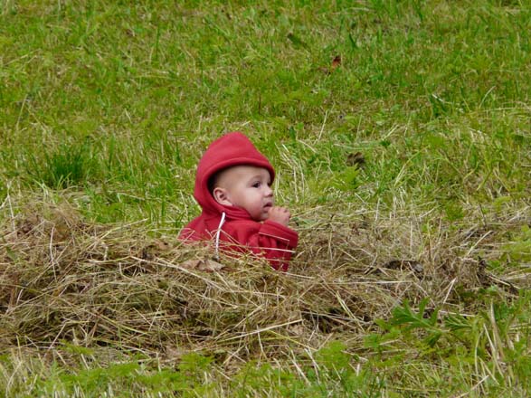Baerentrek876Kandersteg_Adelboden