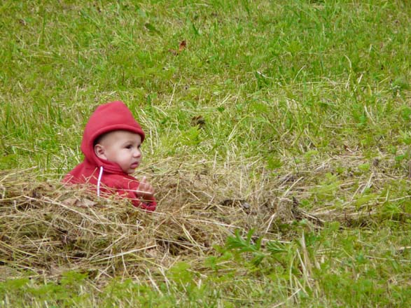 Baerentrek878Kandersteg_Adelboden