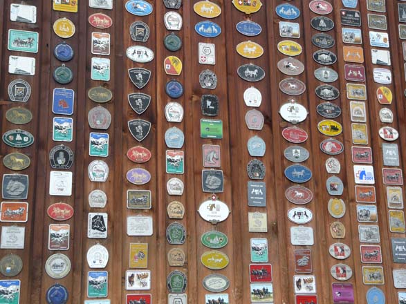 Baerentrek881Kandersteg_Adelboden