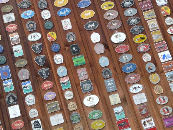 Baerentrek882Kandersteg_Adelboden