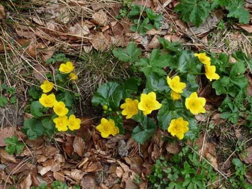 110427-Vierwaldstaettersee-018