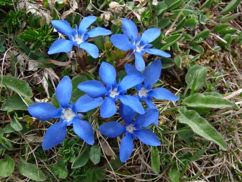 110427-Vierwaldstaettersee-025