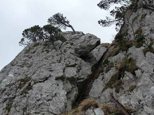 110427-Vierwaldstaettersee-035