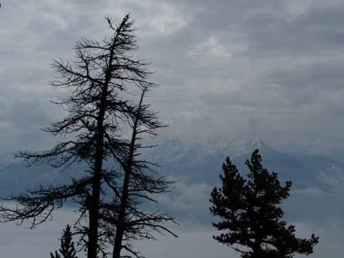 110427-Vierwaldstaettersee-080